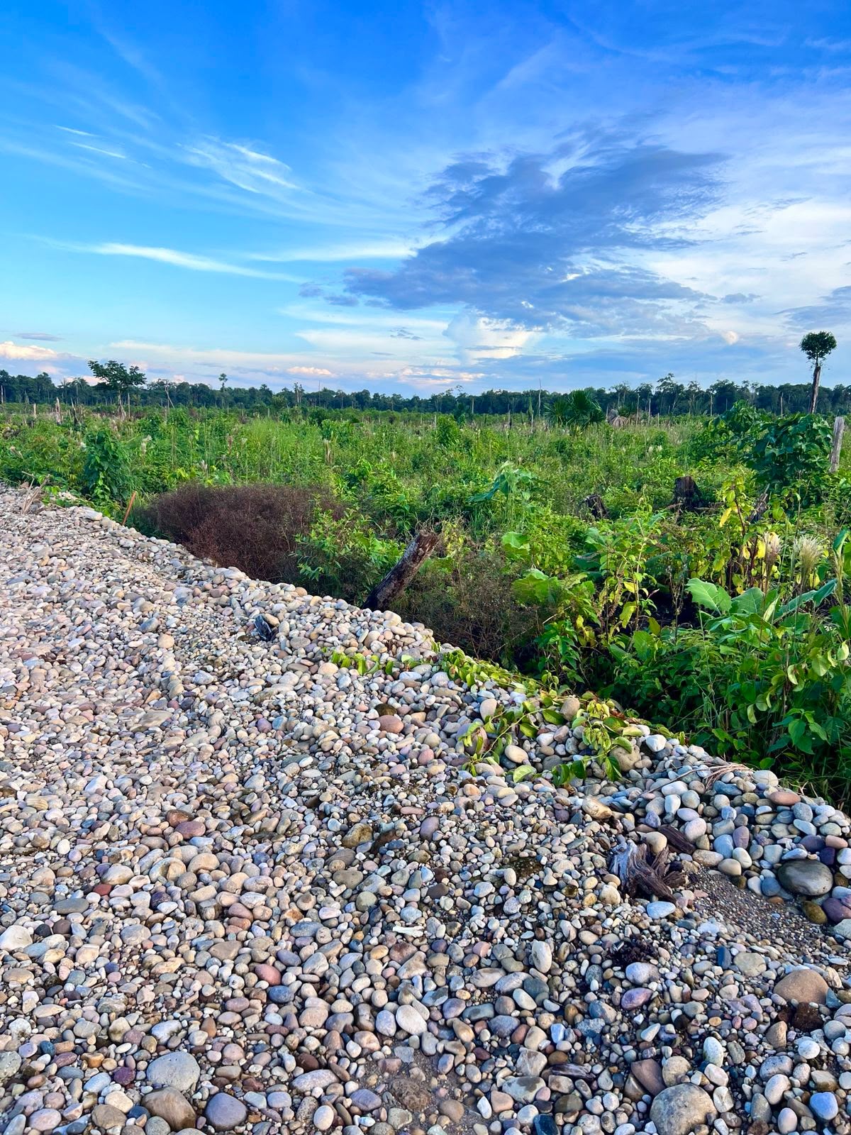 Proyecto Libertad – terreno 1
